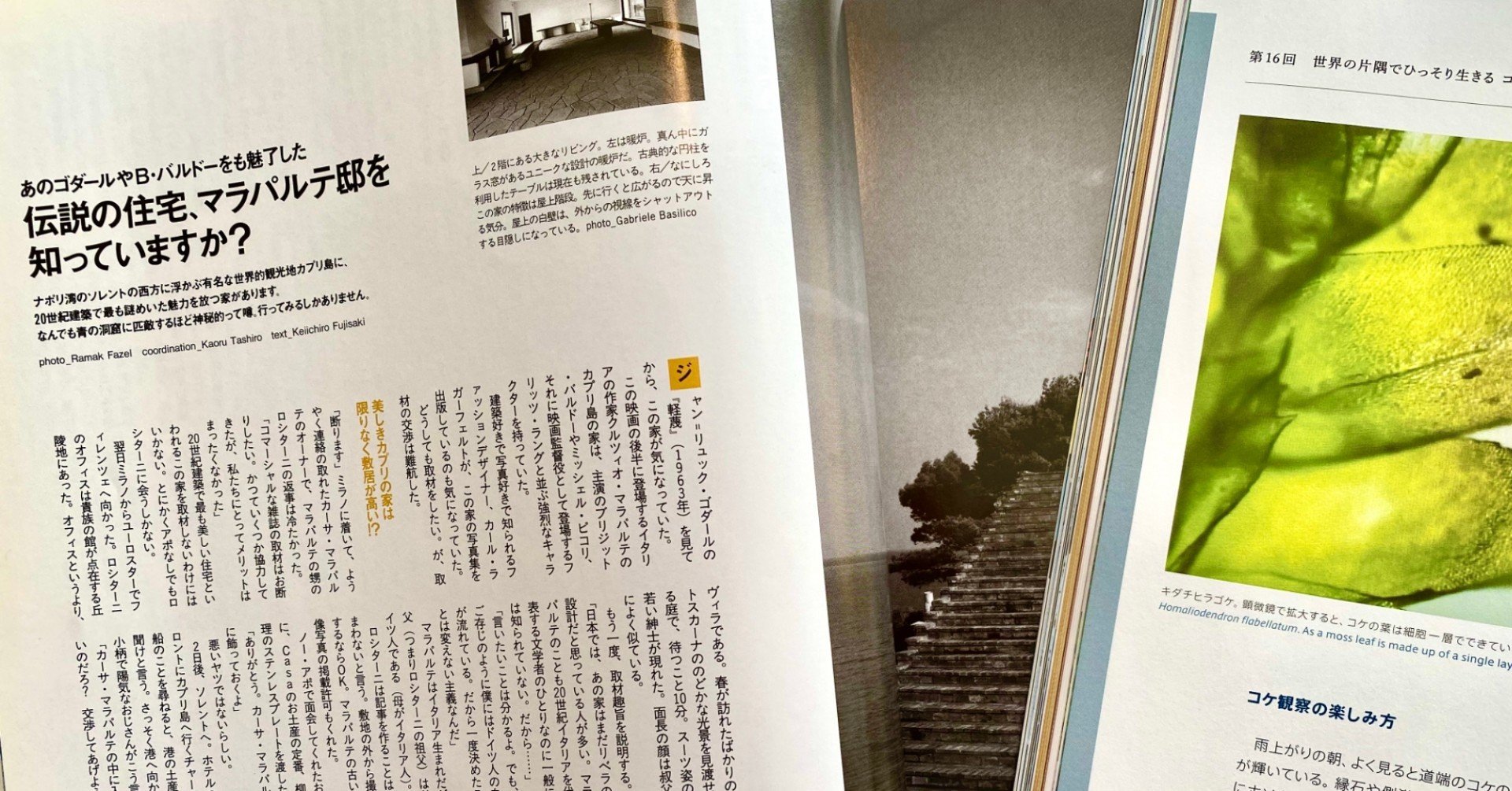 3/16まで最終価格 紙葉の家　　(英語版) 3/16まで最終価格 紙葉の家 (英語版)