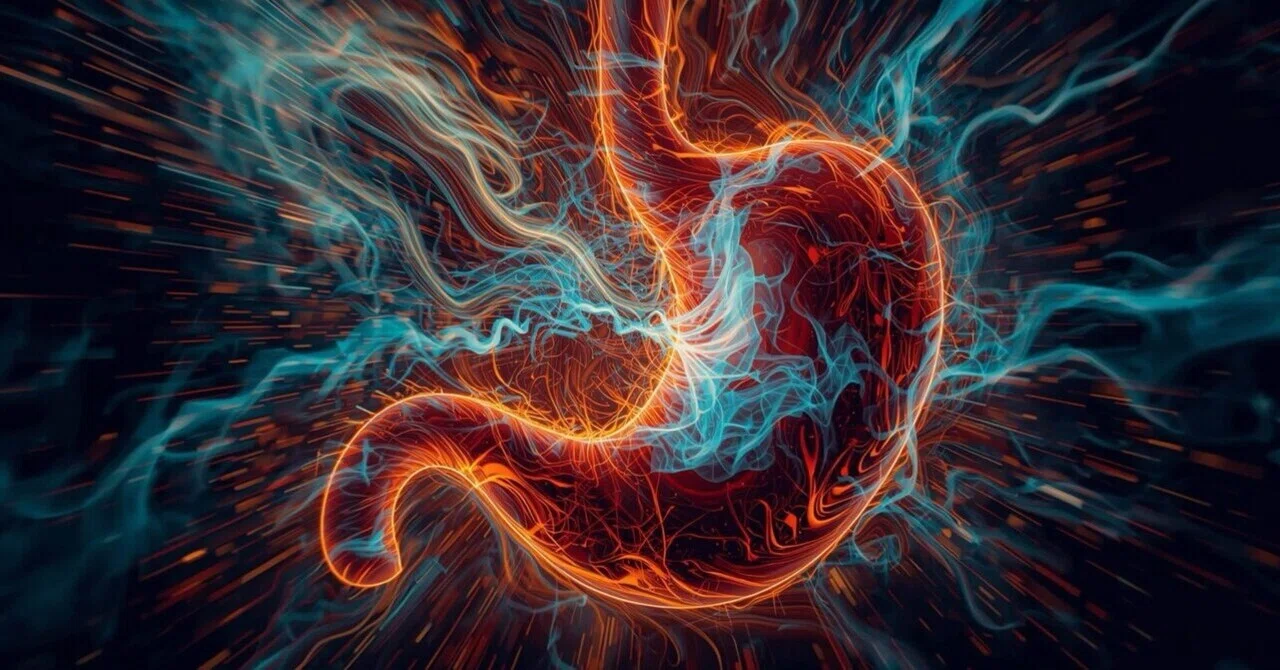 A Thorough Explanation of Stomach Structure and Function: Capacity ...