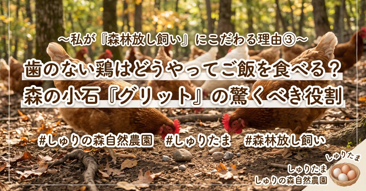 How do toothless chickens eat? The surprising role of forest pebbles ...