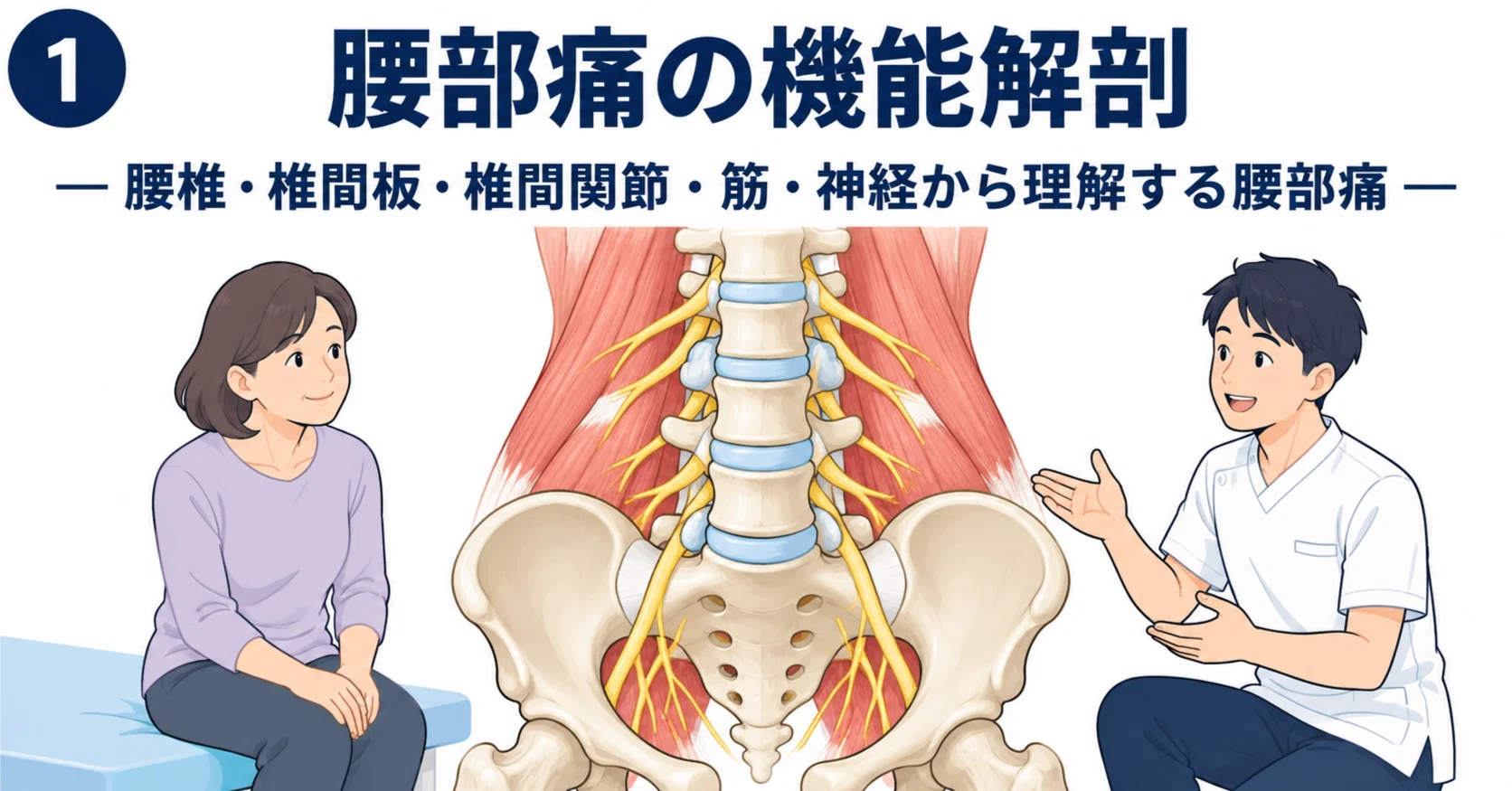 腰痛の機能解剖と理学療法｜腰椎・椎間板・椎間関節・筋・神経から学ぶ