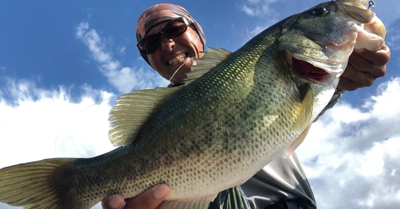 釣れない人 はアレを管理できてないよってお話です ぜひ 釣れる人 になってくださいね おくむらさとし note