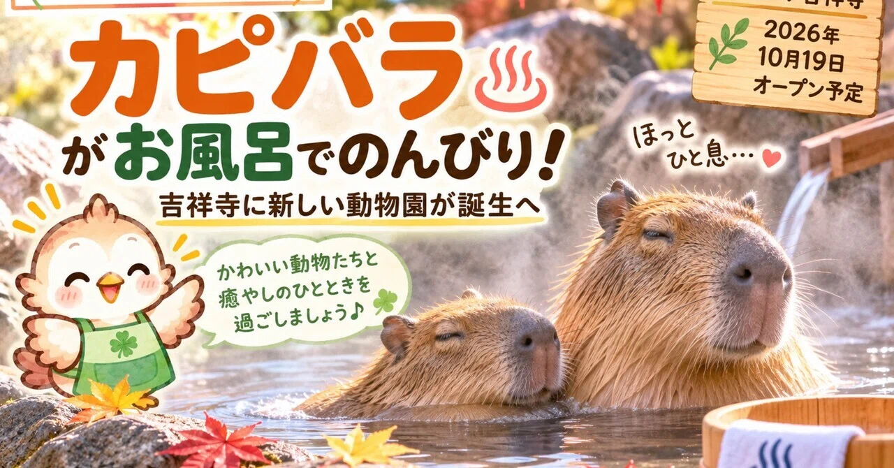 Capybaras Relaxing in a Bath! A New Zoo is Coming to Kichijoji｜今日の介護トーク