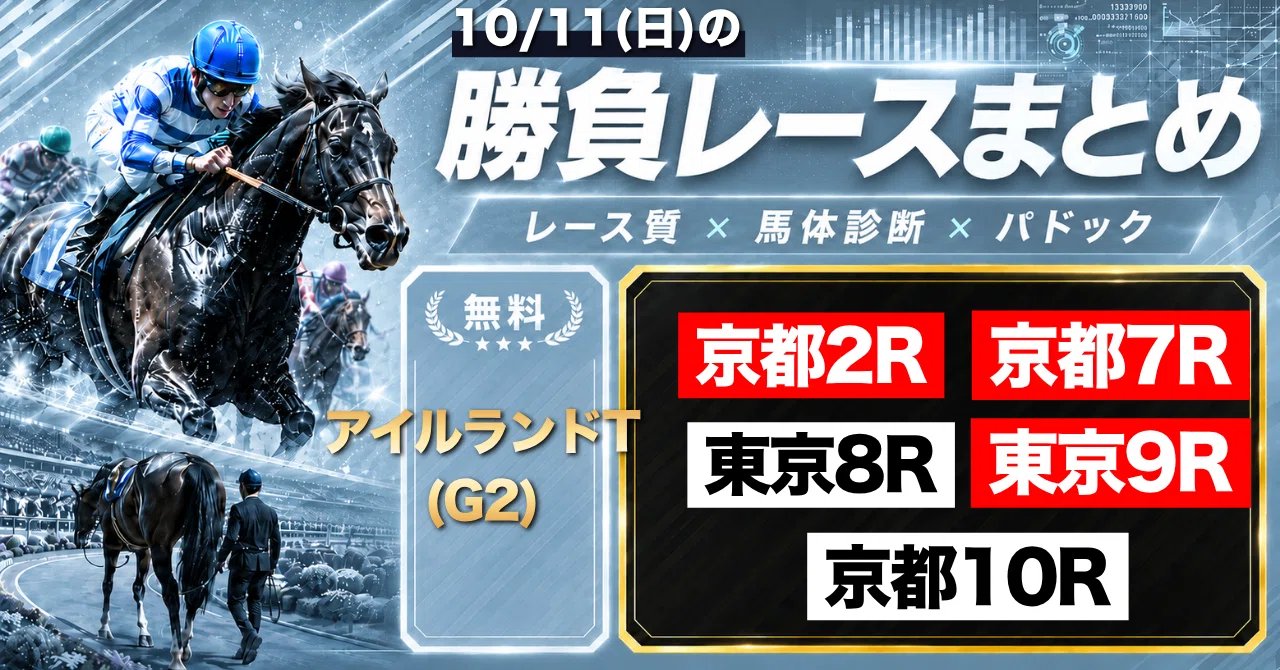東京 11 レース