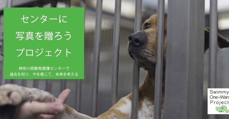 写真を贈ろうプロジェクト 寄贈先 神奈川県動物愛護センター Swimmy One Wanproject Note