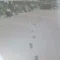 ミガキ