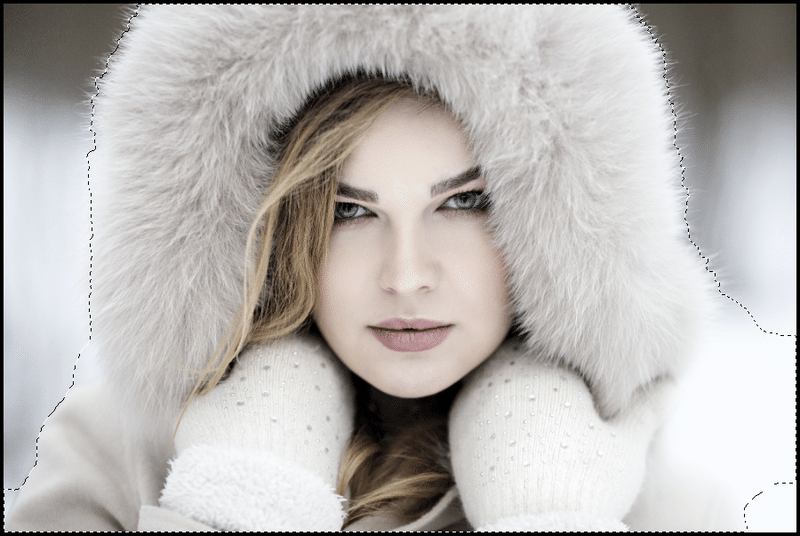 スクリーンショット 2020-08-11 16.53.33