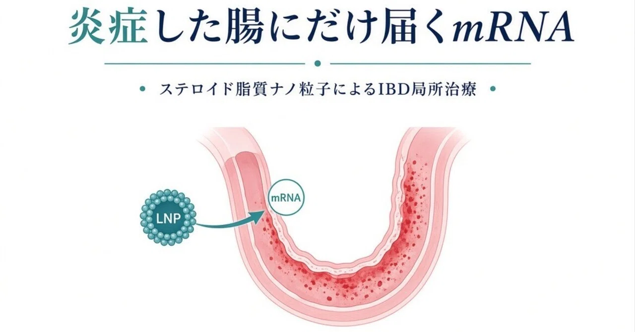mRNA that reaches only inflamed intestines: Localized IBD treatment ...