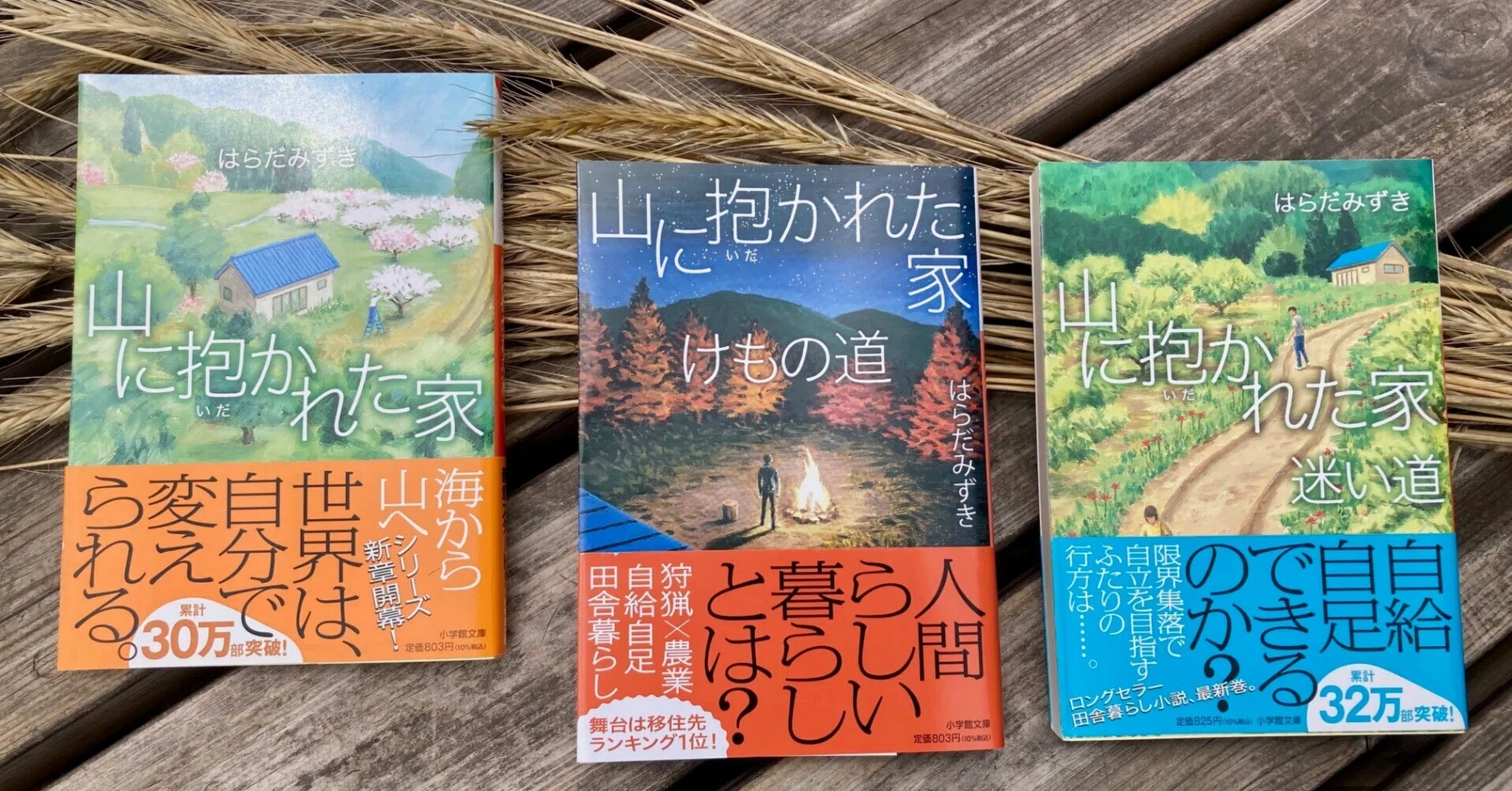 自己紹介 小説家になるまでの話｜はらだみずき 小説家