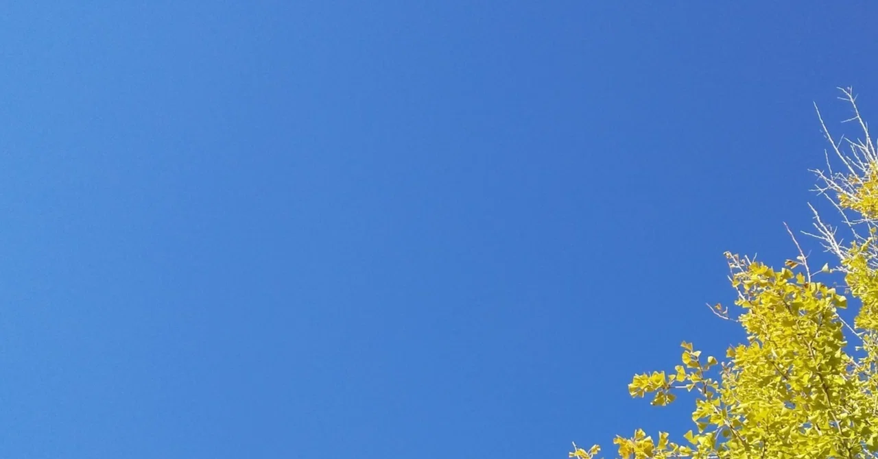 Words and Haiku 40: Autumn Sky [Shirokuma Literature Club]｜青居さやか