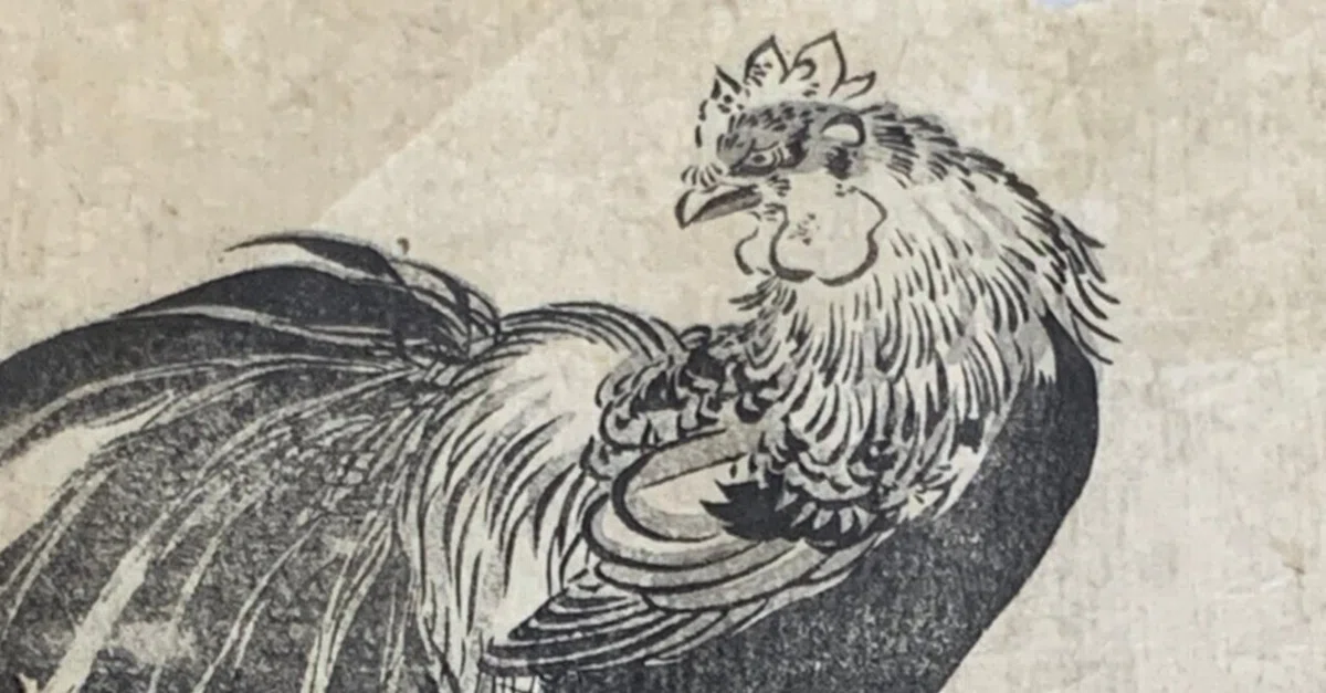江戸時代に鶏が描かれていた理由は何？｜咲生戸乃梨