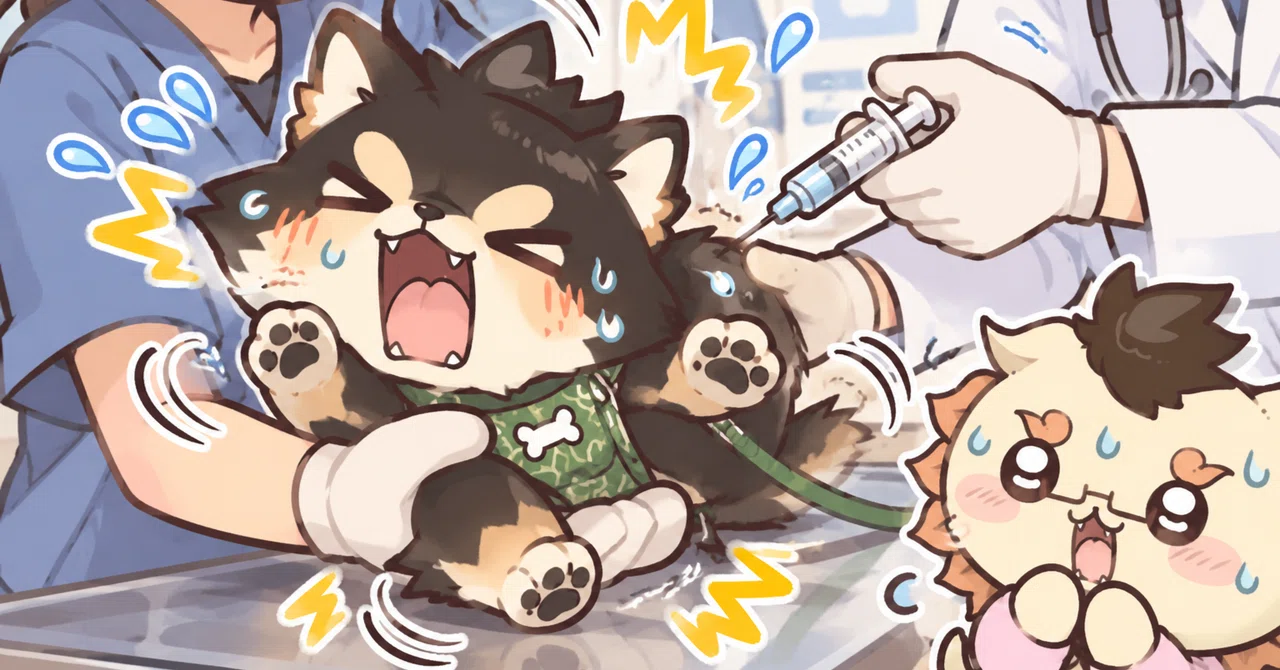 The story of a Shiba Inu who was fine with shots but went wild over a ...