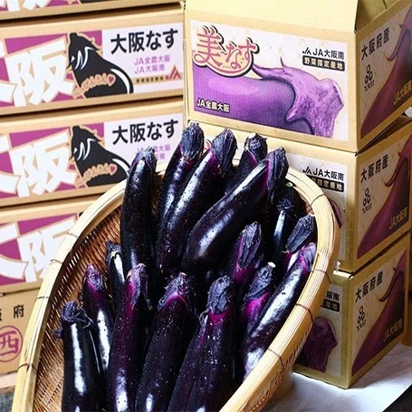 富田林市の特産品「大阪なす」が生まれるまでのお話。｜富田林市公式note