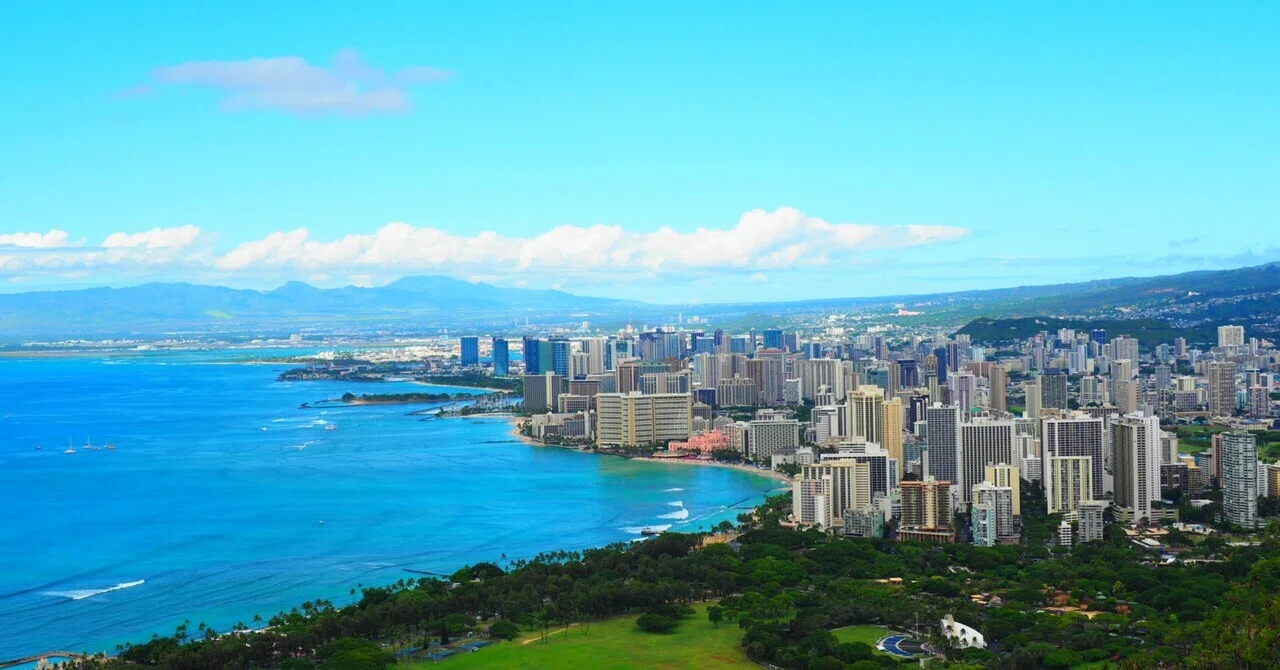 [Marathon Record #26] 26th Week of Training for the Honolulu Marathon｜大沢農園