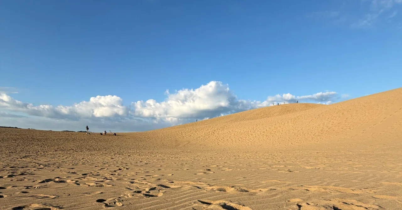 Lv269 Sand Dune Location Shoot Notes｜てぉ