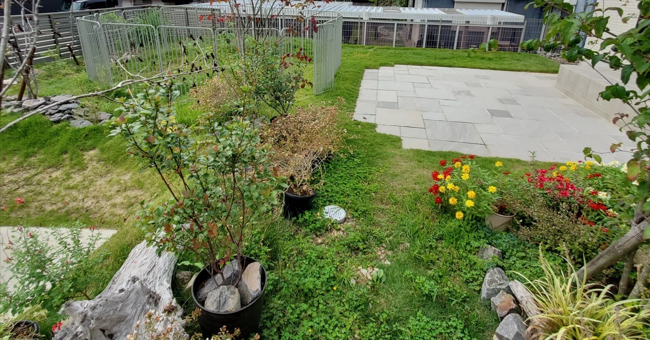 Building Large Rectangular Living with a large dog in a garden is harder than I thought|satoken