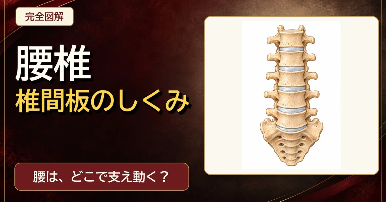 Types Of Msa In Quality Are Intervertebral Discs Just Cushions? The Mechanism Supporting Lumbar ...