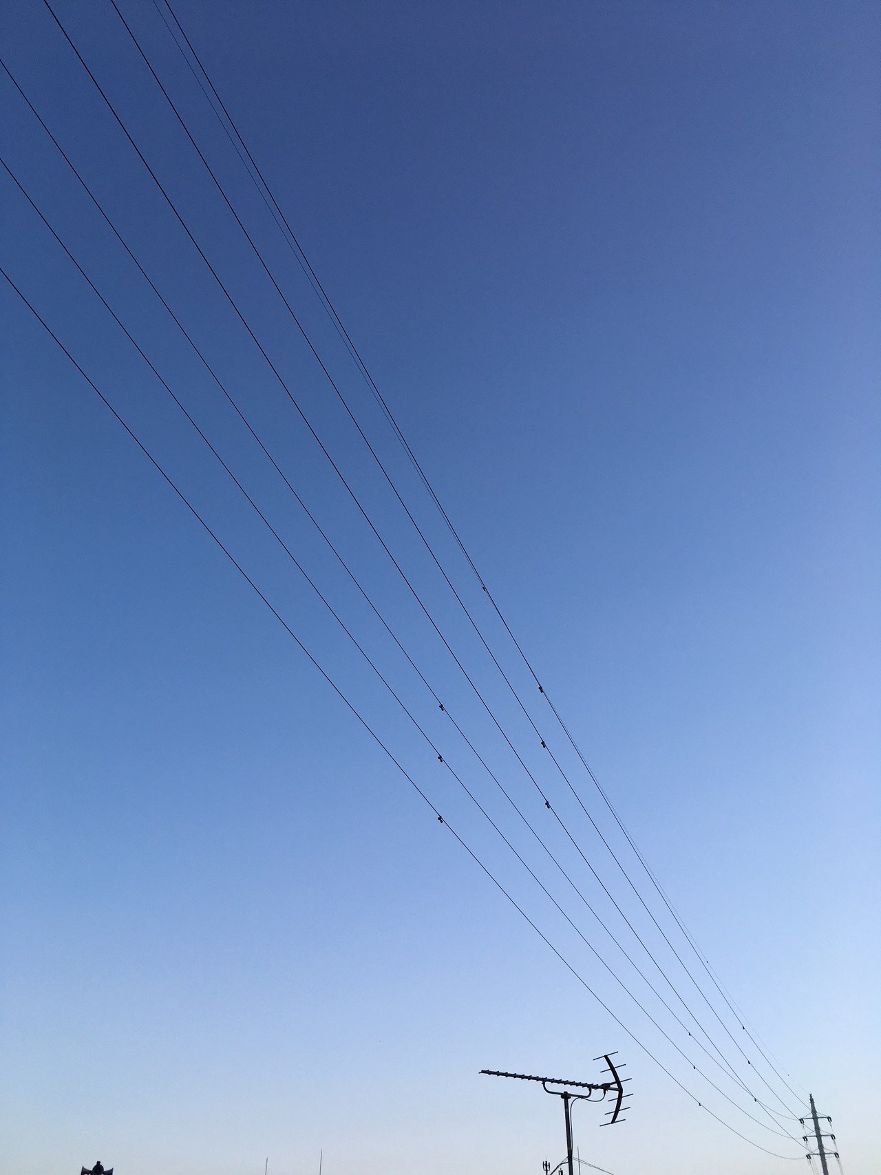 蝉時雨の夕暮れです 湿度で重く感じる空気も 夏らしいなあ 花と日々 Yas Note