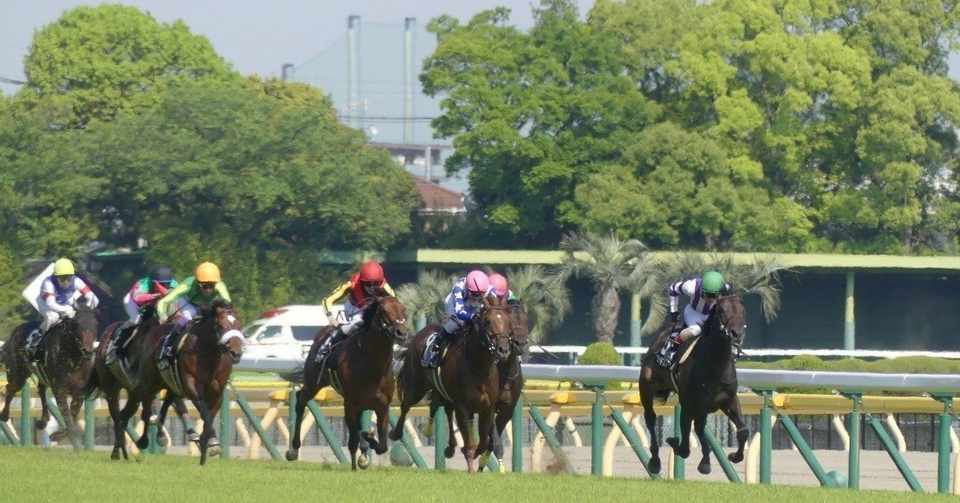 競馬と実習と友人y 名言からの四方山話 マナビ研究室 九歯大発youtube Note