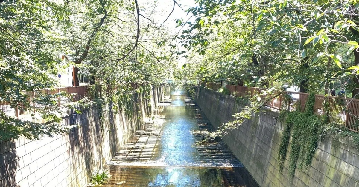 画像30