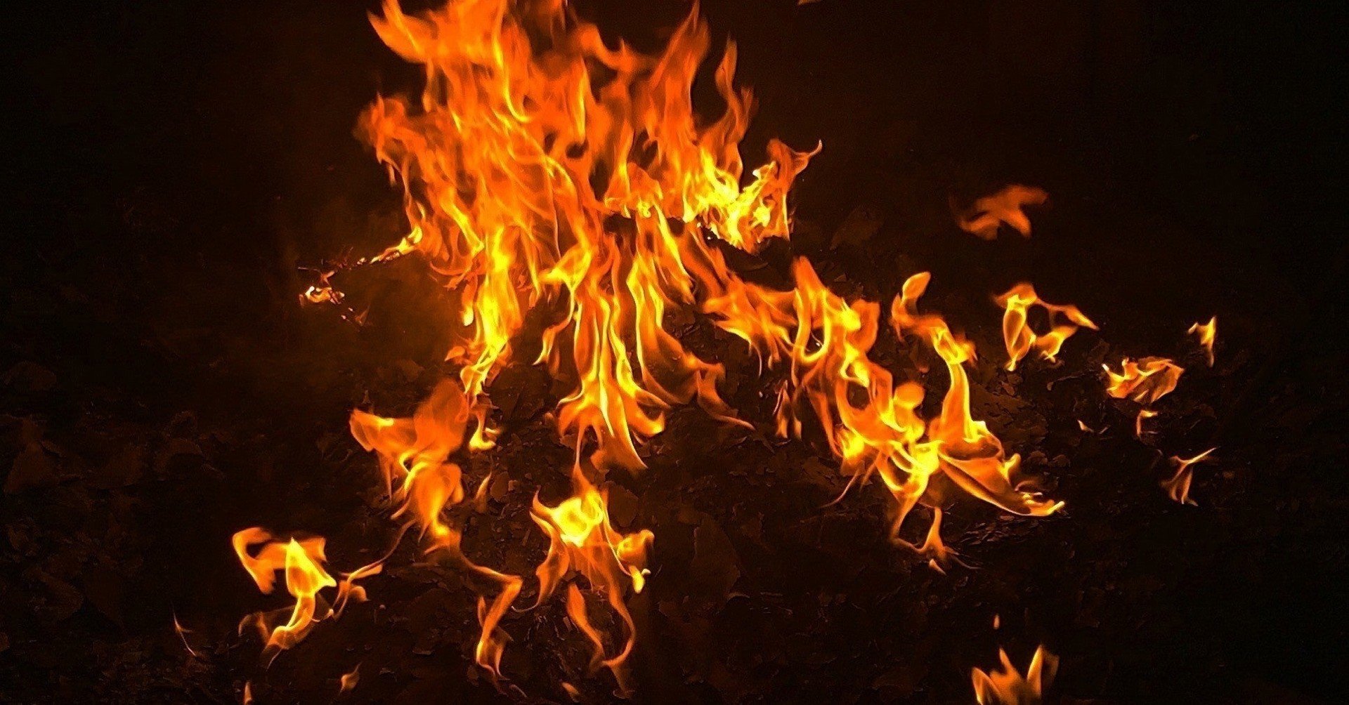 ポケモン エンテイの育成論 ハチマキ型 チョッキ型 耐久型 タヌト Note