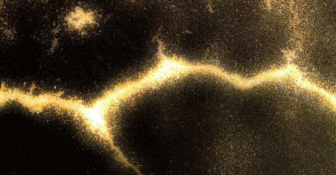 ポケモン ライコウの育成論 特殊型 瞑想型 壁張り型 タヌト Note ポケモン ライコウの育成論 特殊型 瞑想型 壁張り型 タヌト Note