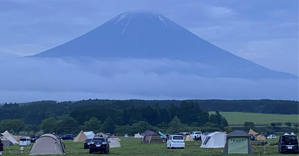 Reflections on Summer Camping: Heat and Insect Countermeasures. Lessons ...