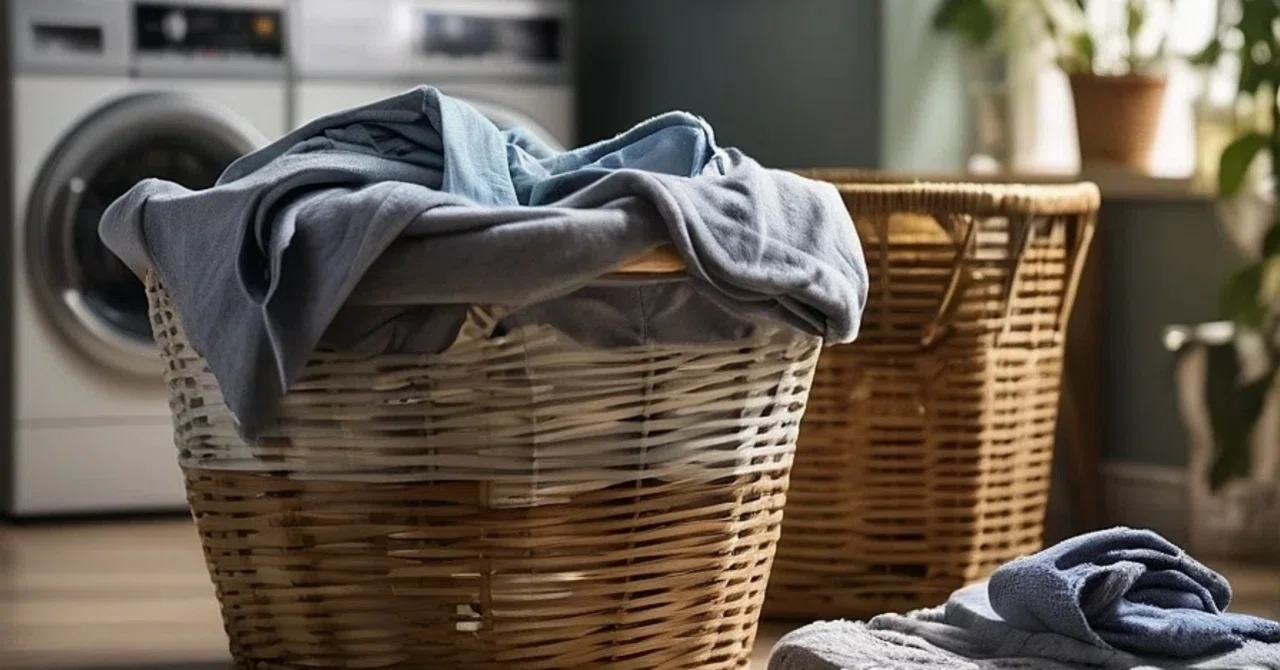 A day I wanted to do nothing. Yet, I ran the washing machine four times.｜みさ