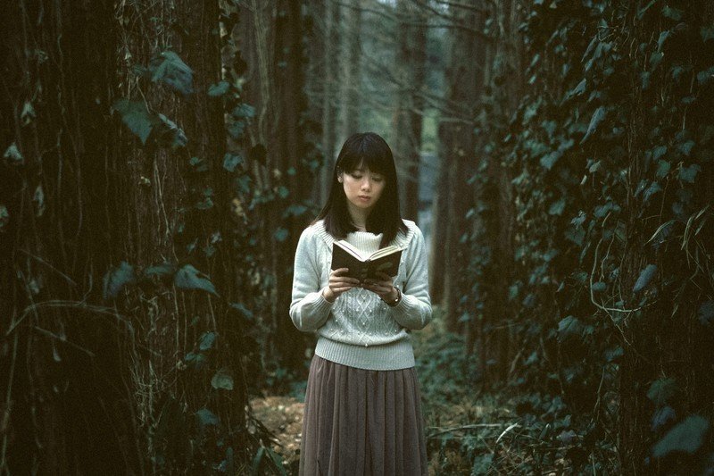 森の中で本を読む女性