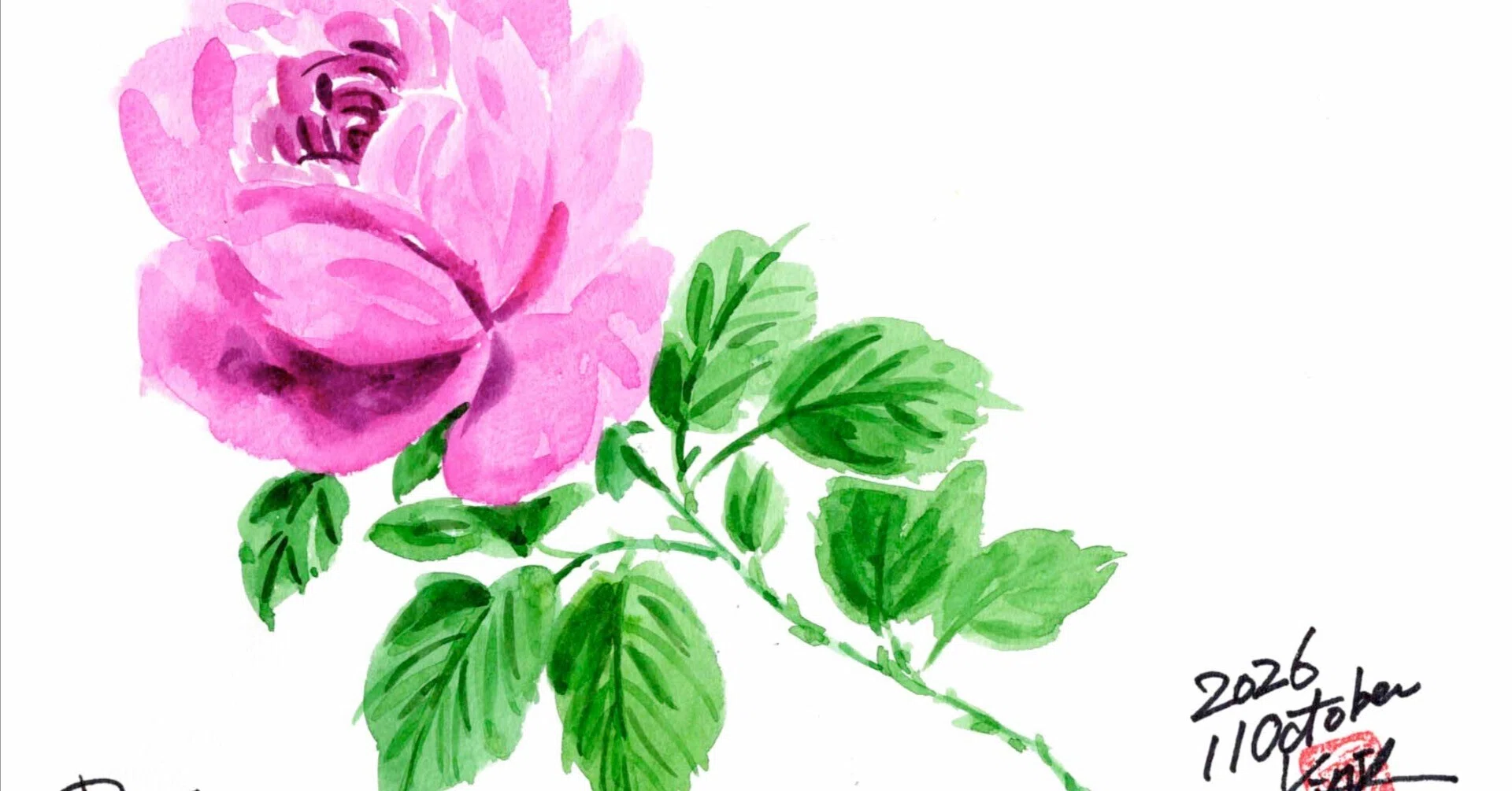 今日も定番の薔薇でございます。｜kinta65