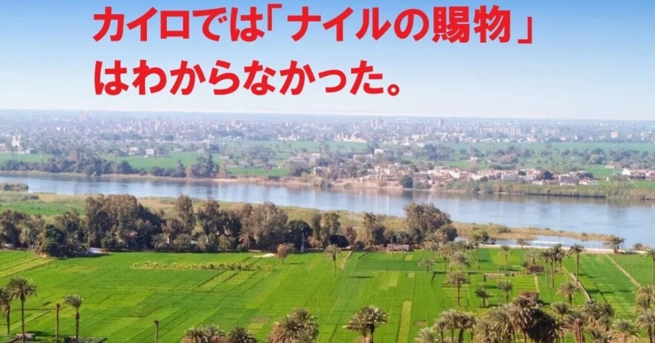 In Cairo, I couldn't understand the 'Gift of the Nile'.｜ Ryuichi Nakajima
