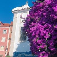 ポルトガル女一人旅 森 有 Note