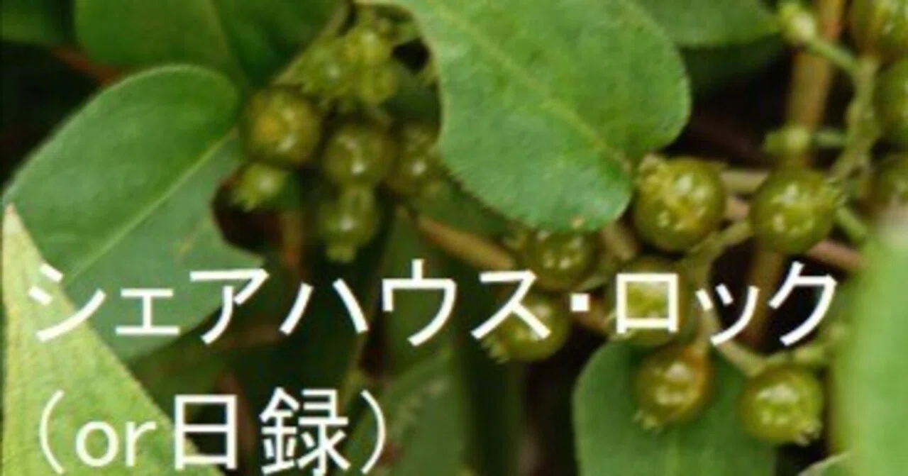 Kenso Soai and Henri Kagan's Nobel Prize in Chemistry (1012)｜千都譲司