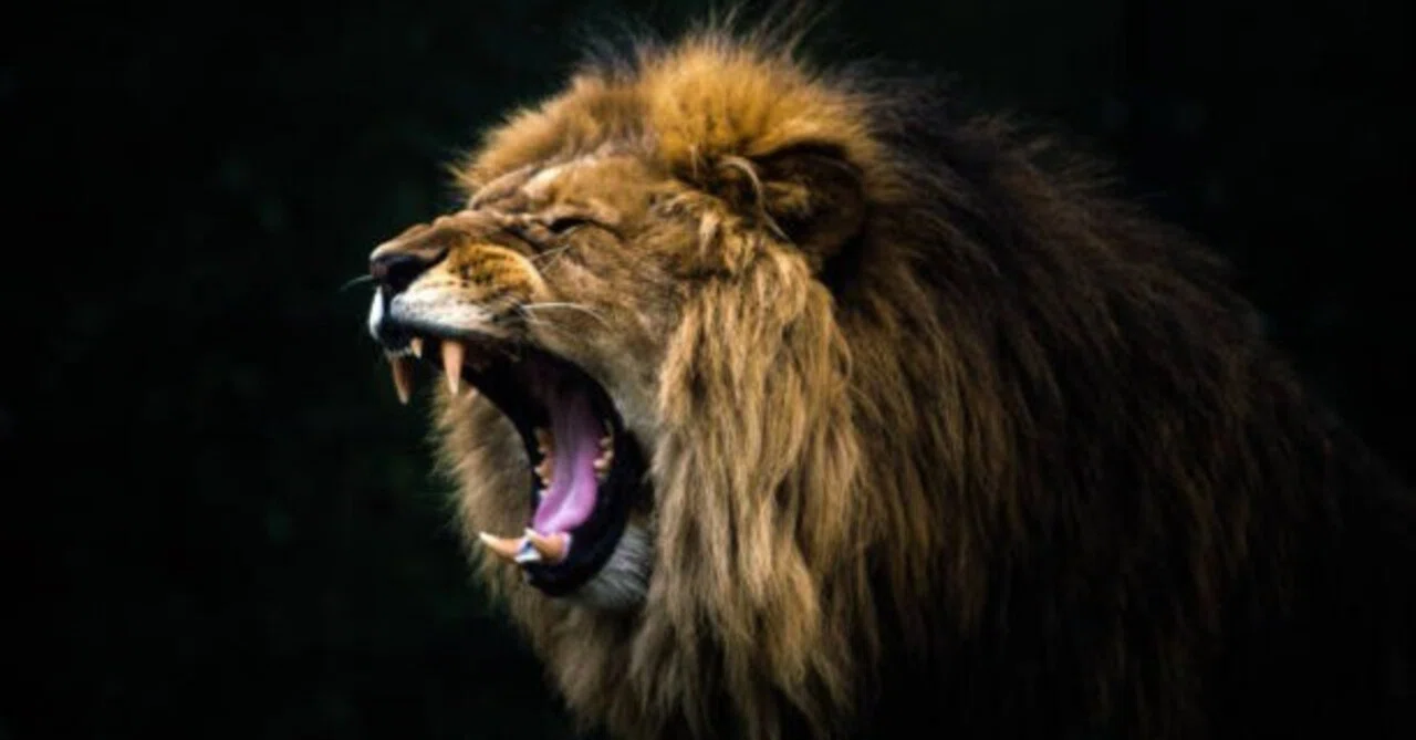 It turns out that taking your anger out on others does not make you ...