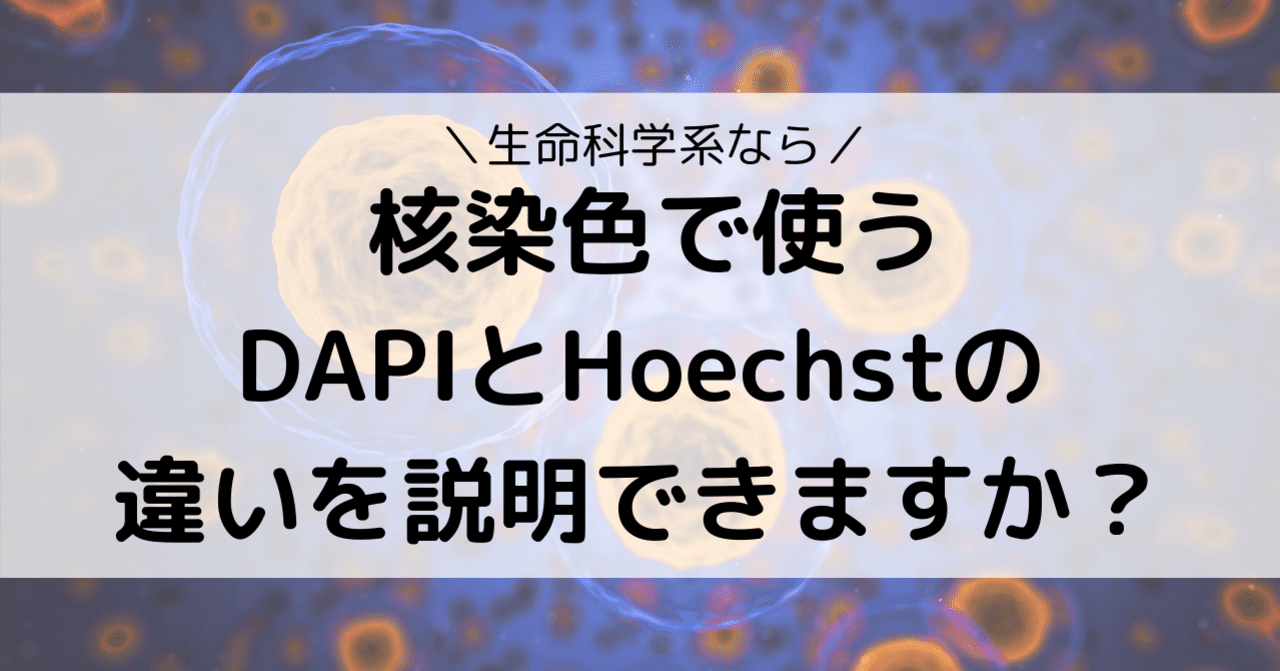 核染色で使うDAPIとヘキスト（Hoechst）の違いを説明できますか？｜eiko_programming