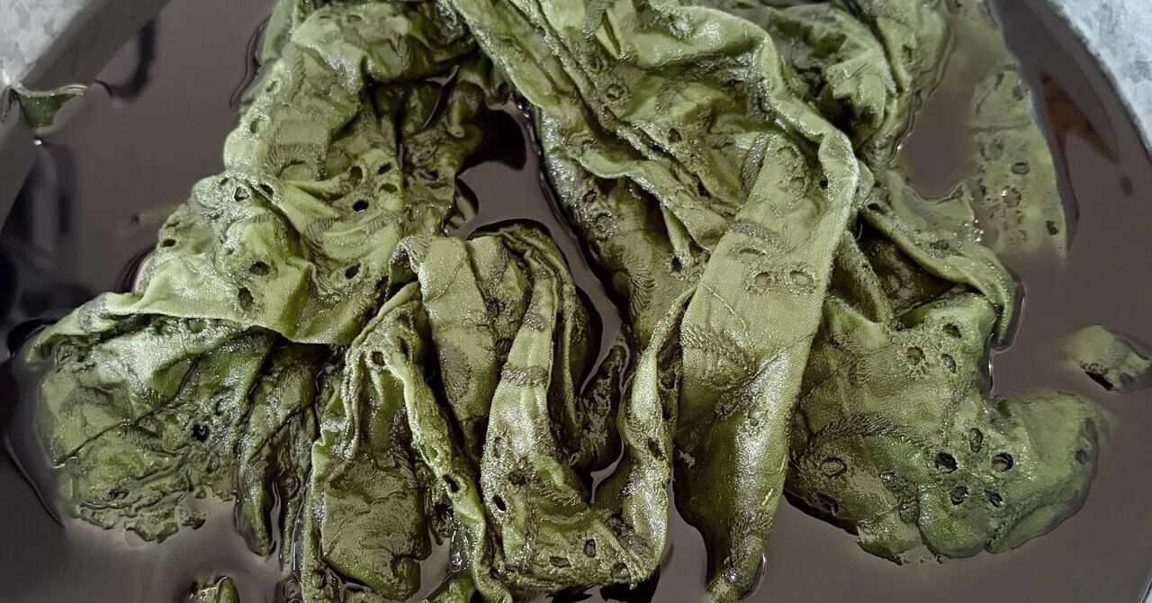 Kimono I tried dyeing an antique lace juban｜樹田 樹冠