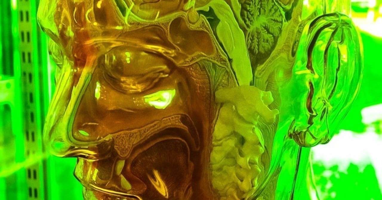ニンジャ自由研究 Ninja Fact についての定量的研究 三宅つの Note