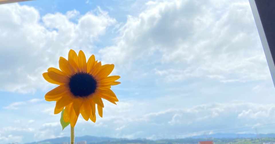 向日葵と太陽 ぼんじょるの Note