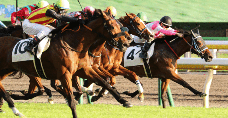 笠松競馬無料予想 の新着タグ記事一覧 Note つくる つながる とどける