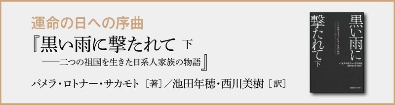 黒い雨に撃たれて下