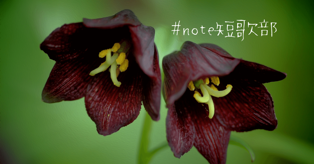 短歌 8月12日 誕生花はクロユリ Note短歌部 御子柴 流歌 Note 短歌 8月12日 誕生花はクロユリ Note短歌部 御子柴 流歌 Note