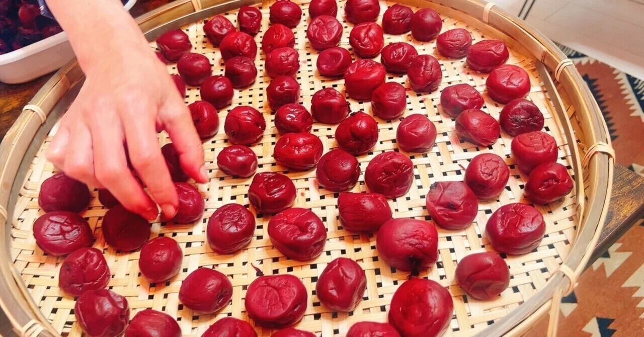 Plum Work: The Midsummer Sun-Drying Edition｜緑黄色YuKi