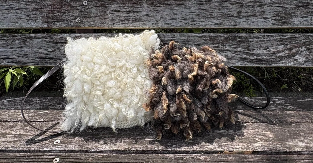 [As a Wool Artisan] Introducing the Sheep Series: The Thoughts Behind ...