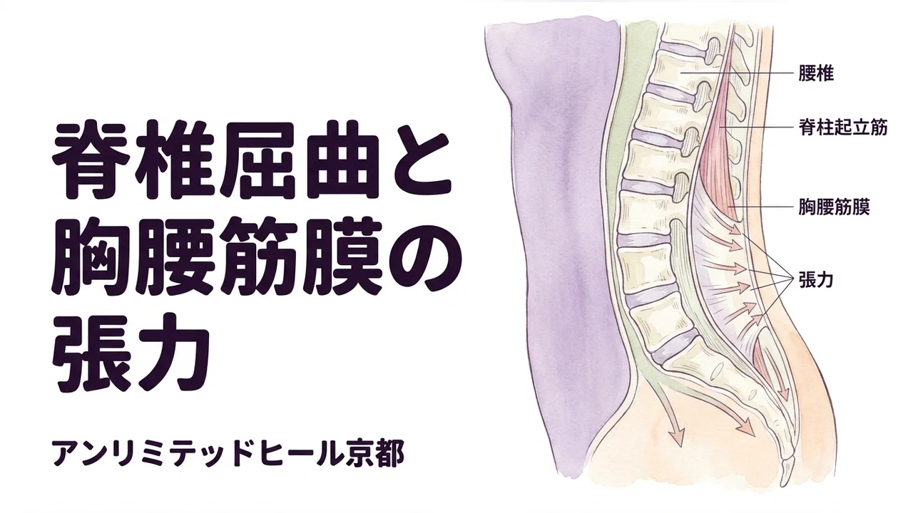 My back hurts every time I change my clothes — Repetitive bending ...