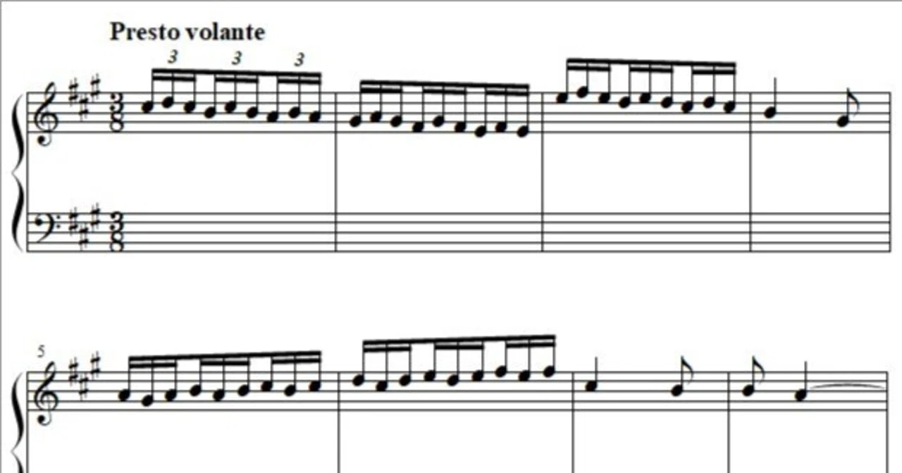 Harmony Grading Second-Degree Alteration R3.28.33.1｜エクリチュールちゃんねる(大脇滉平)