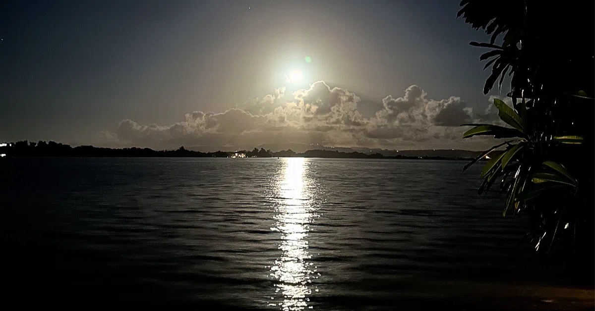 The Moon's Path Reflected on the Sea｜luno「心の音」図書館 一貫性がないからおもしろい