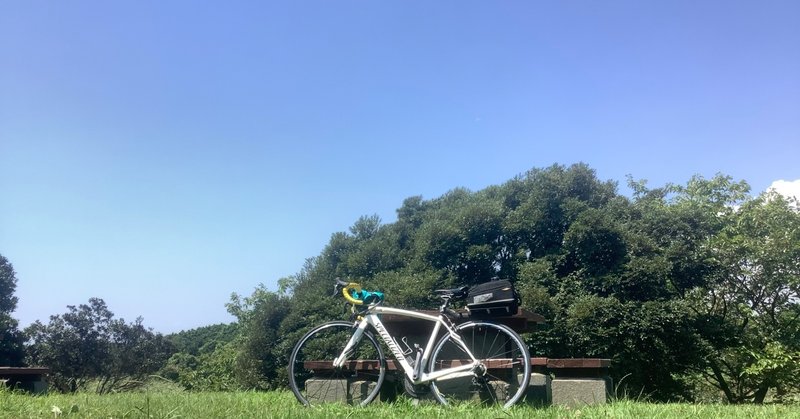 少し走って日光浴してきた。