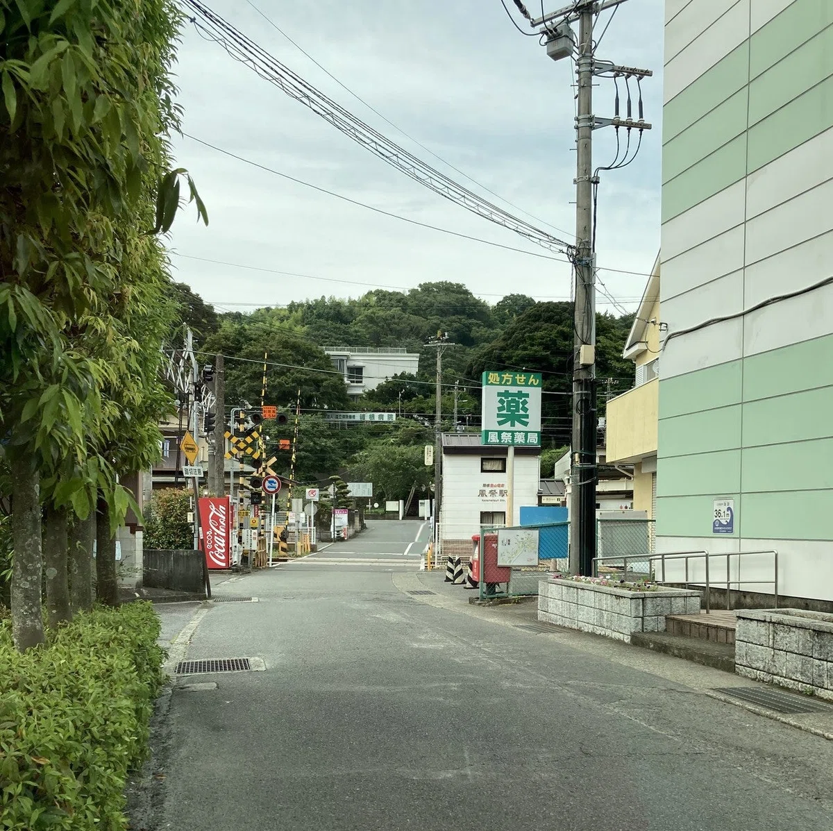 画像7