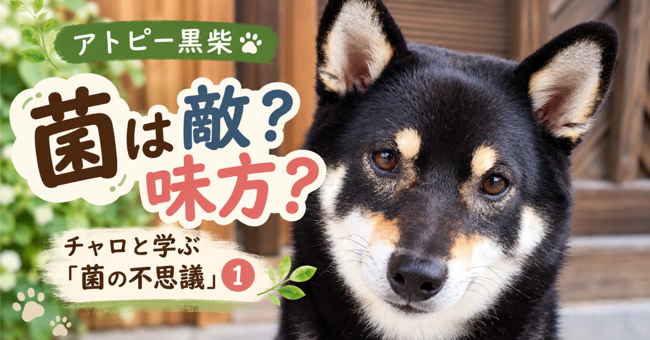 Atopic Black Shiba | Are Bacteria Enemies or Allies? Learning the ...
