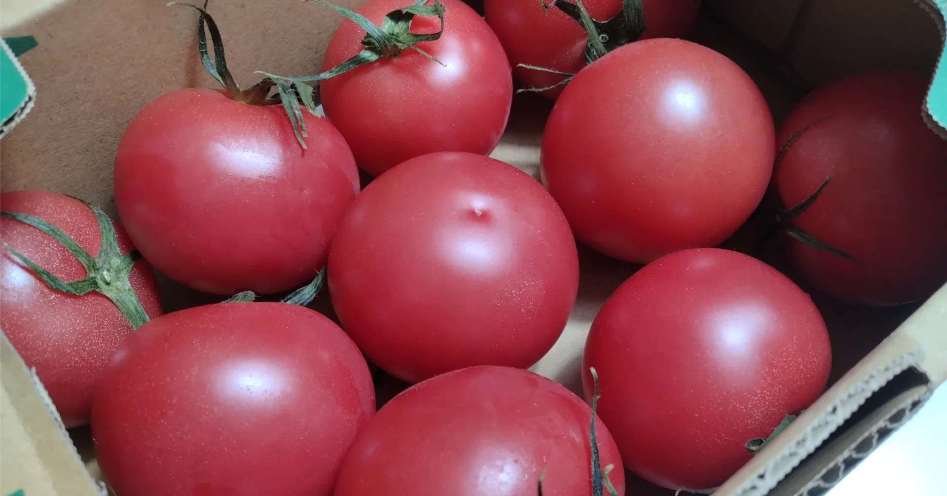 Carefully Selected] The Top 5 Best Tomatoes from Okayama