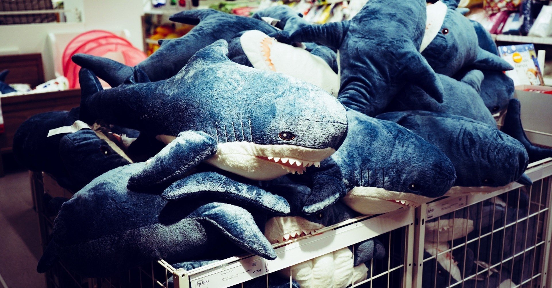 そして今日もikeaのサメを抱きしめる Zawa Note